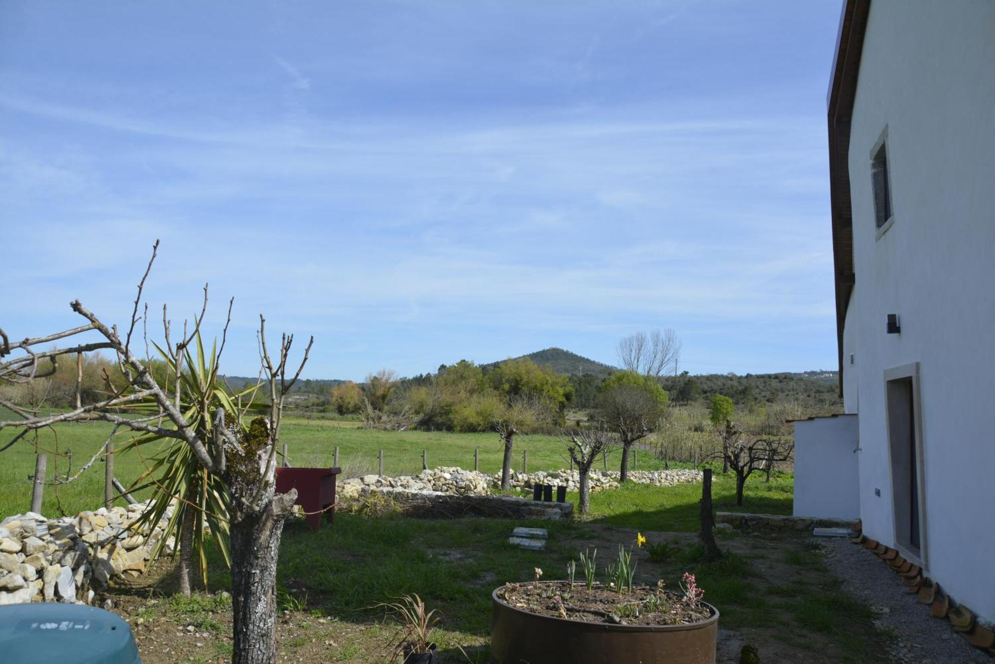 Casa Da Lima - Nestled In Nature On Santiago'S And Fatima'S Path, Close To Coimbra And Rabacal Alvorge Eksteriør bilde