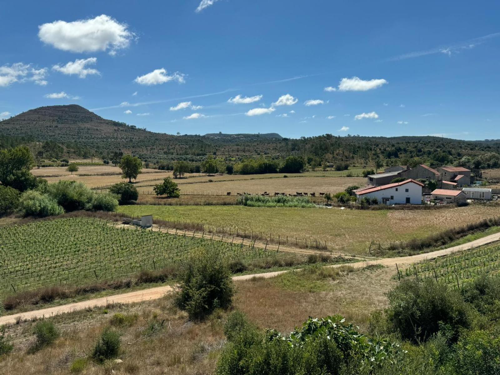 Casa Da Lima - Nestled In Nature On Santiago'S And Fatima'S Path, Close To Coimbra And Rabacal Alvorge Eksteriør bilde