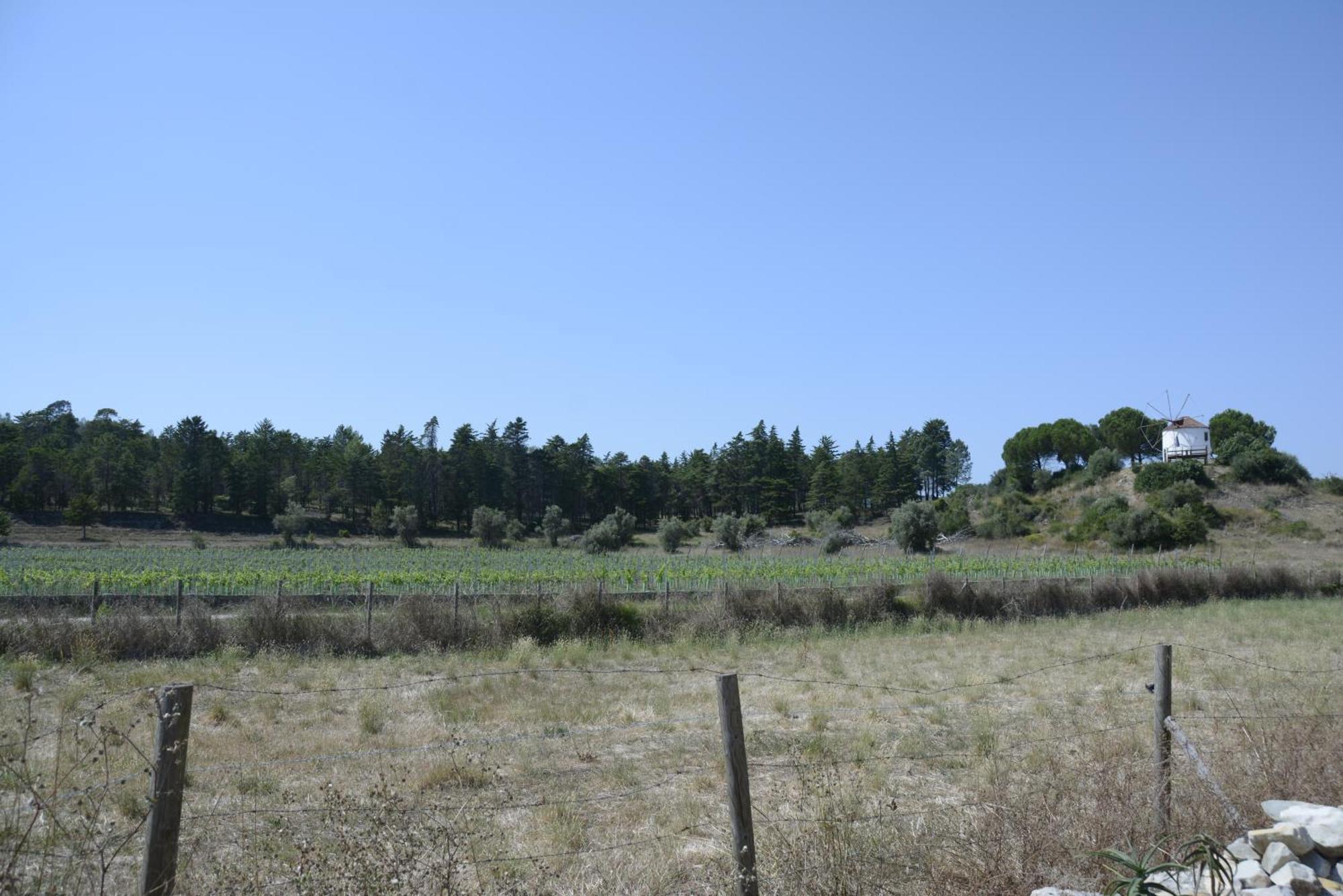 Casa Da Lima - Nestled In Nature On Santiago'S And Fatima'S Path, Close To Coimbra And Rabacal Alvorge Eksteriør bilde
