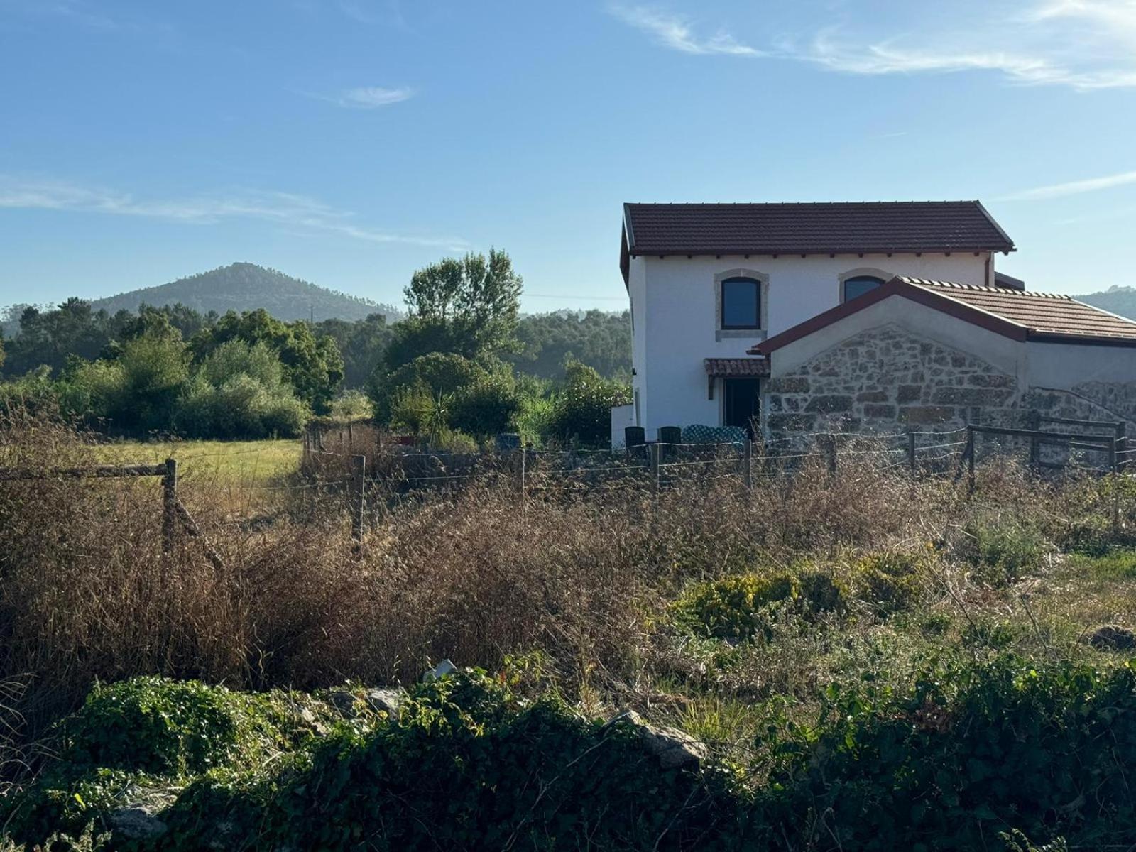 Casa Da Lima - Nestled In Nature On Santiago'S And Fatima'S Path, Close To Coimbra And Rabacal Alvorge Eksteriør bilde