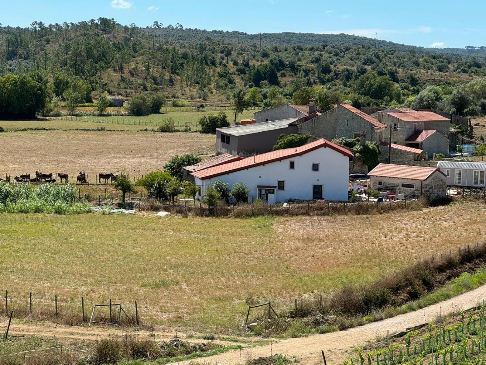 Casa Da Lima - Nestled In Nature On Santiago'S And Fatima'S Path, Close To Coimbra And Rabacal Alvorge Eksteriør bilde