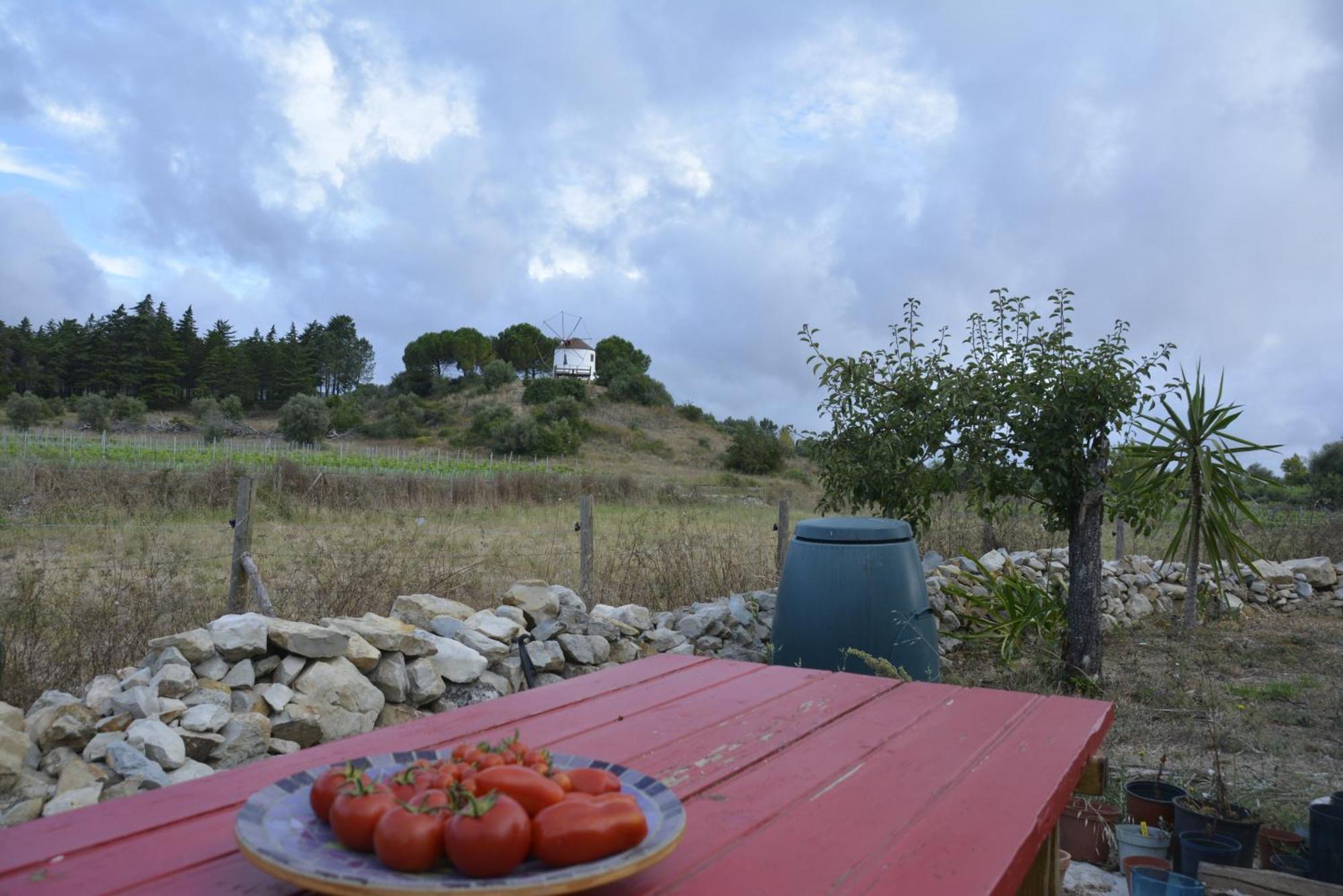 Casa Da Lima - Nestled In Nature On Santiago'S And Fatima'S Path, Close To Coimbra And Rabacal Alvorge Eksteriør bilde