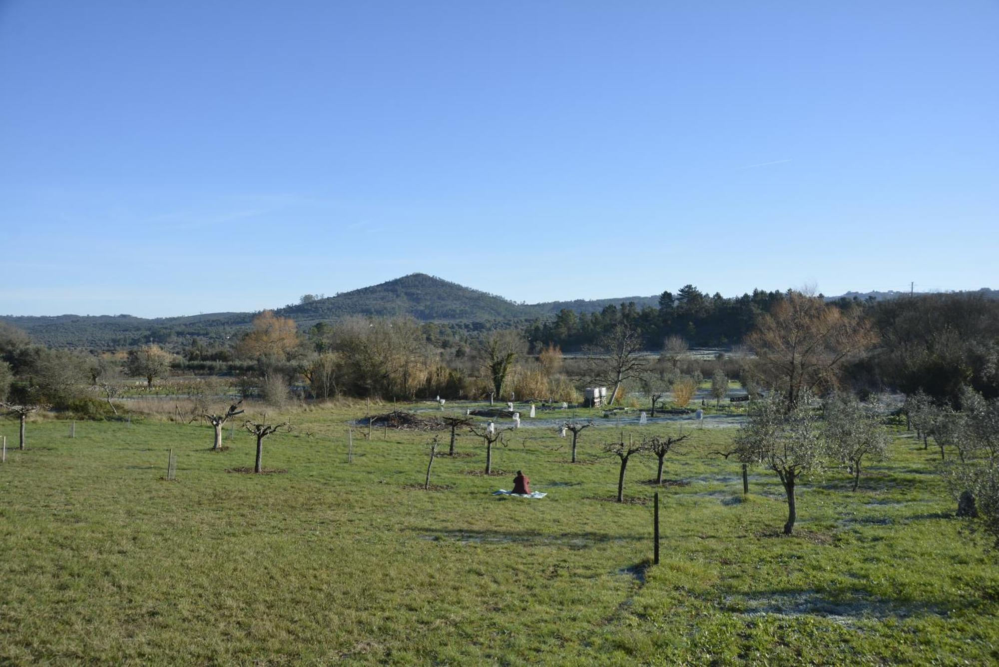 Casa Da Lima - Nestled In Nature On Santiago'S And Fatima'S Path, Close To Coimbra And Rabacal Alvorge Eksteriør bilde